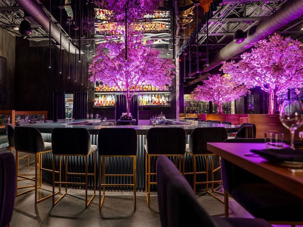 Muse restaurant interior