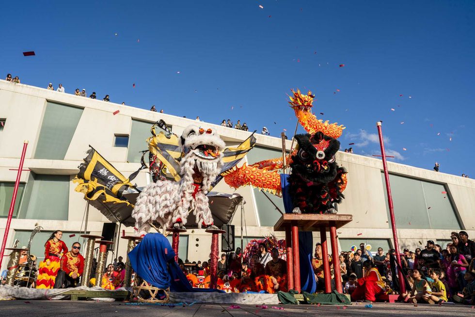 Museum of Fine Arts, Houston Winter Festival