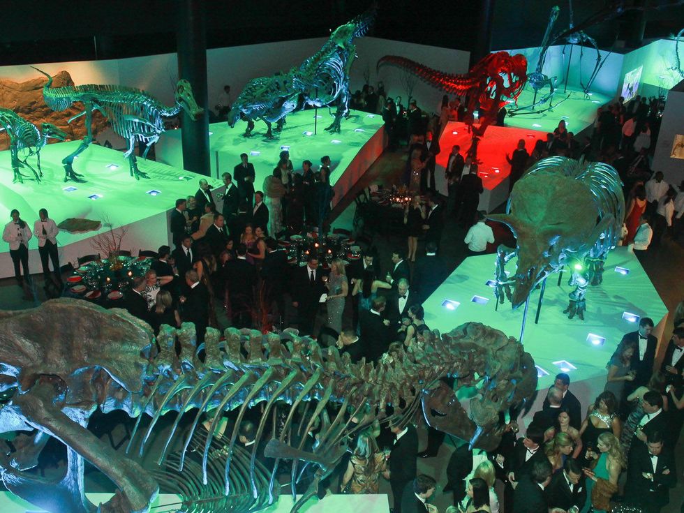 Museum of Natural Science gala, March 2013, crowd, venue, dinosaurs