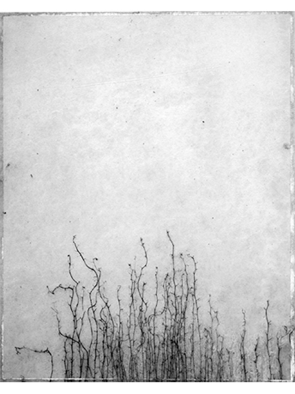 Musiqa Frozen Time January 2014 Byung-hunMin_Weed