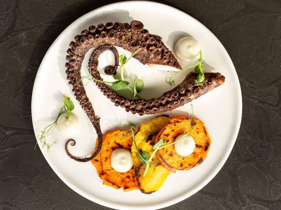 Mutiny Wine Room braised jerk Spanish octopus