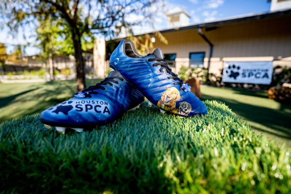 Houston Texans punter dons custom cleats to help adoptable dogs CultureMap Houston
