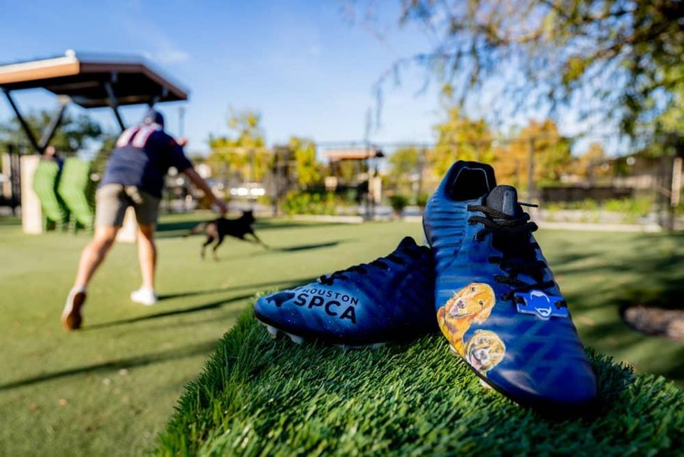 Houston Texans punter dons custom cleats to help adoptable dogs