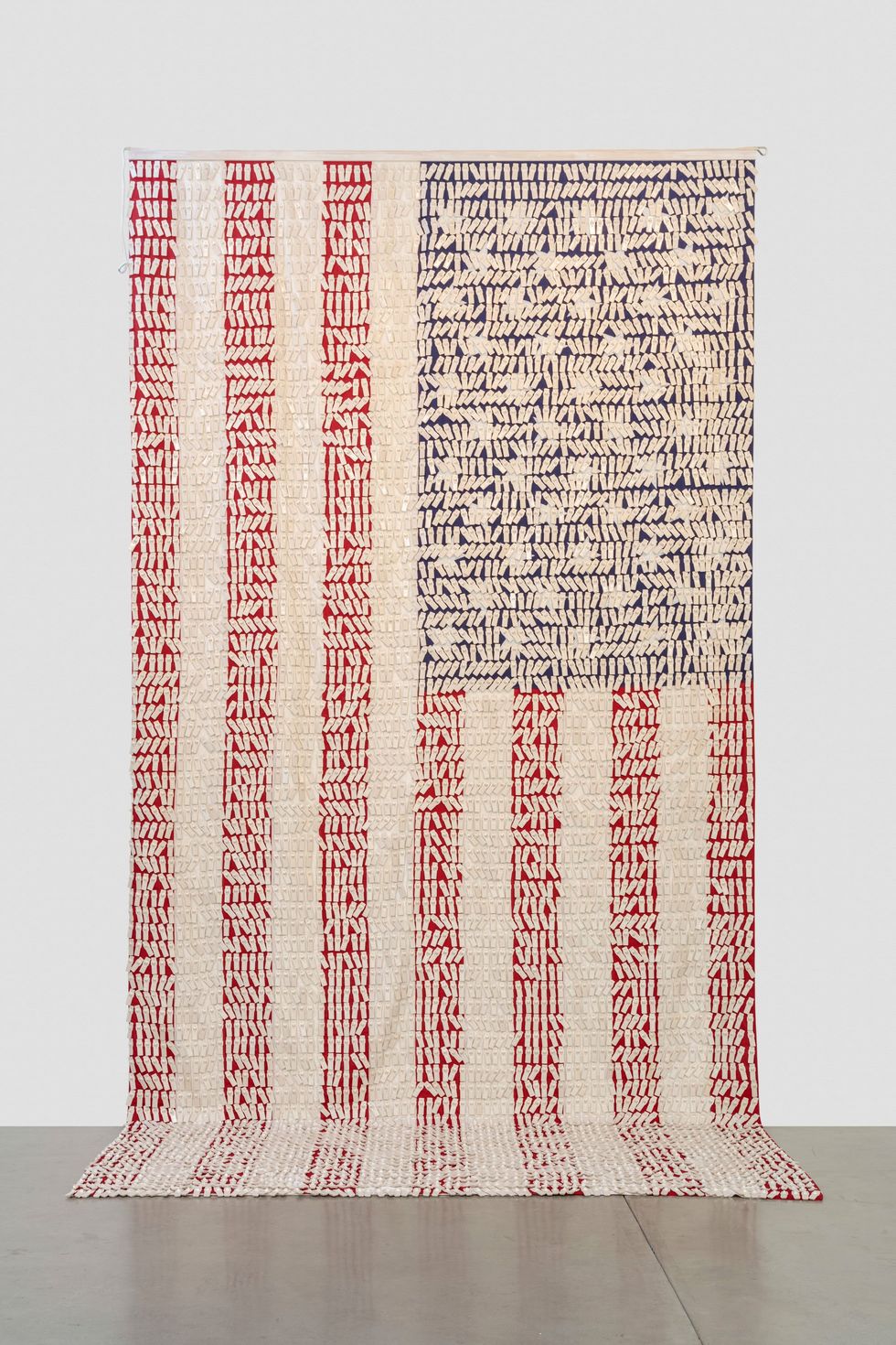 Nari Ward, Say Can You See