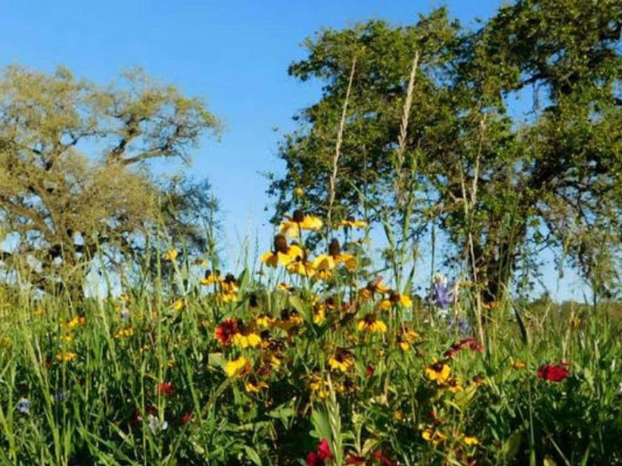 National Public Lands Day