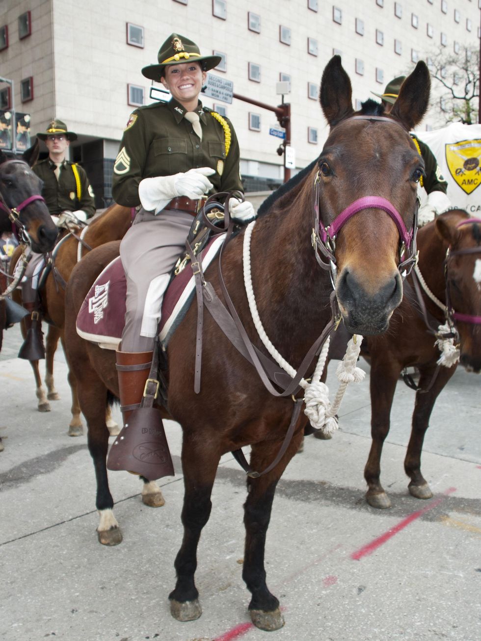 News_025_RodeoHouston parade_February 2012_Texas A&M Corps of Cadets Amanda Belser (she's a Junior studying Industrial Distribution). Her horse, Cowboy, totally posed for the photo.jpg