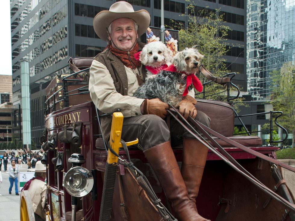 News_027_RodeoHouston parade_February 2012_Alan Cartwright on the Wells Fargo Wagon with Sammy and Molly.jpg