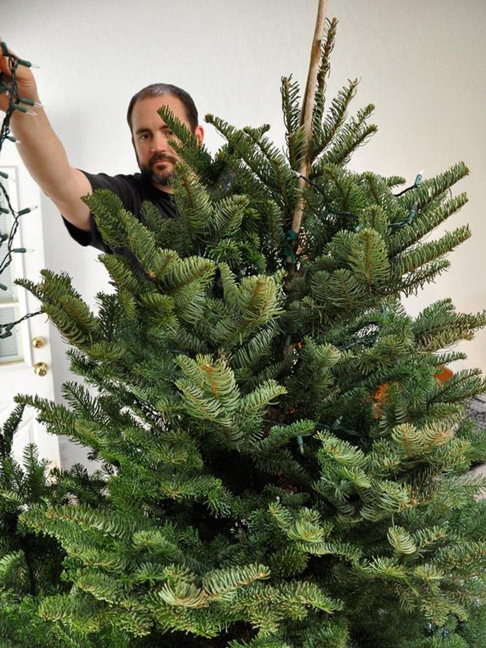 News_Amber Ambrose_Christmas tree_beginning