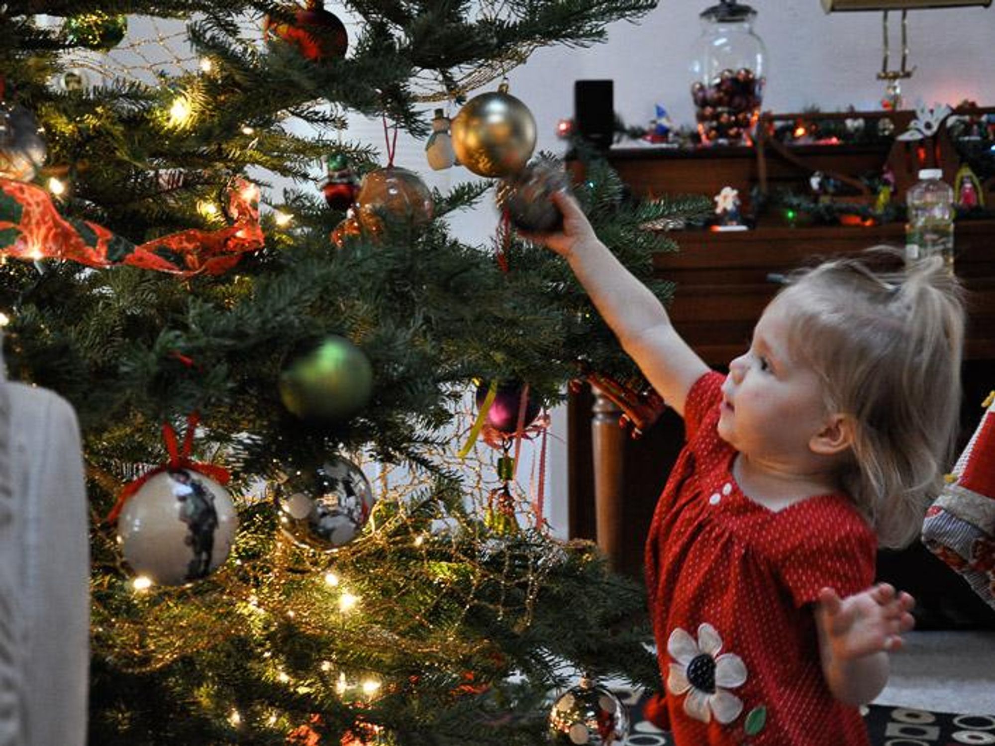 News_Amber Ambrose_Christmas tree