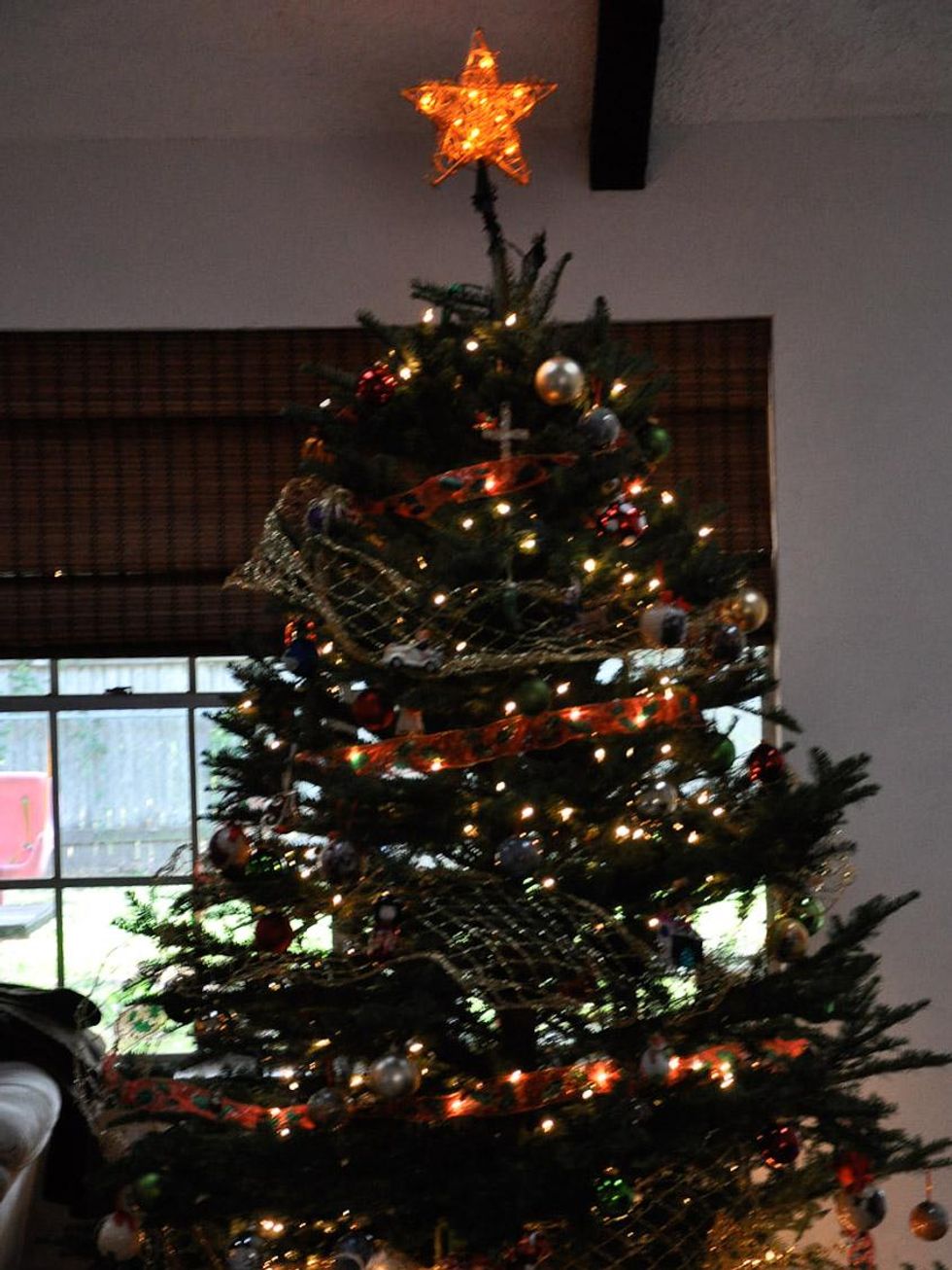 News_Amber Ambrose_Christmas tree