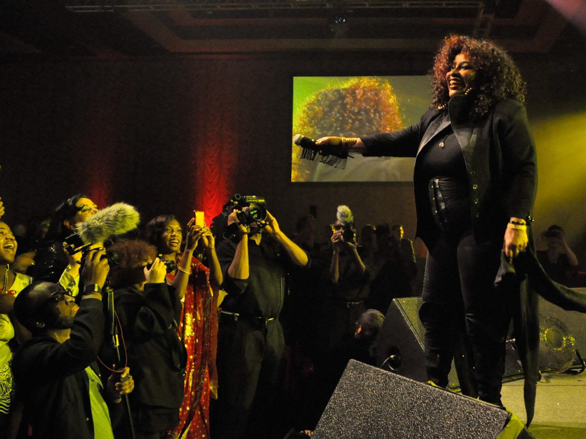 News_Cabaret for a Cure 2011_Chaka Khan