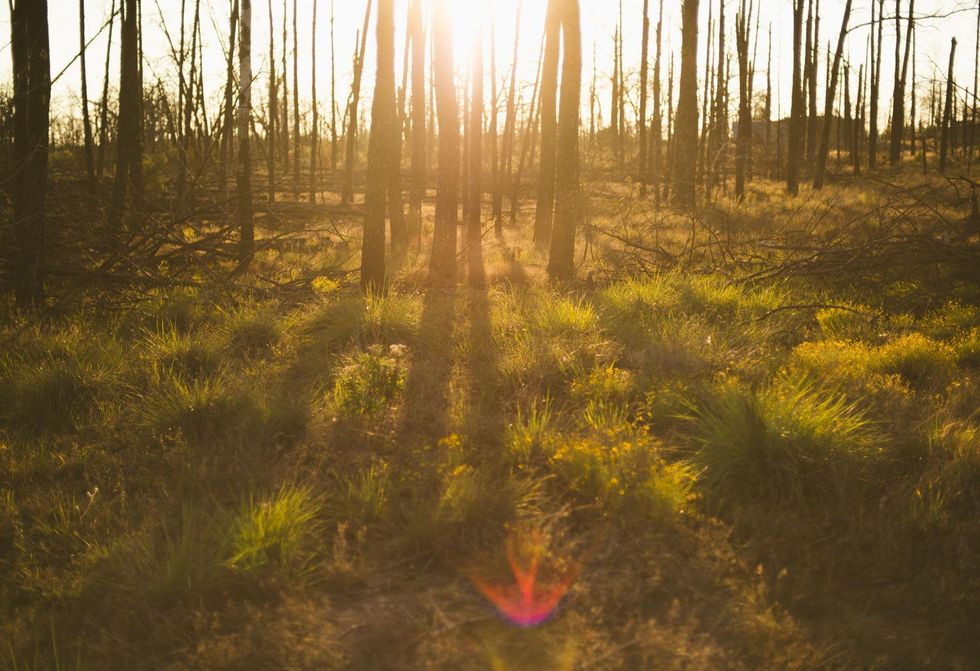 News_Dec13_SubaruForester