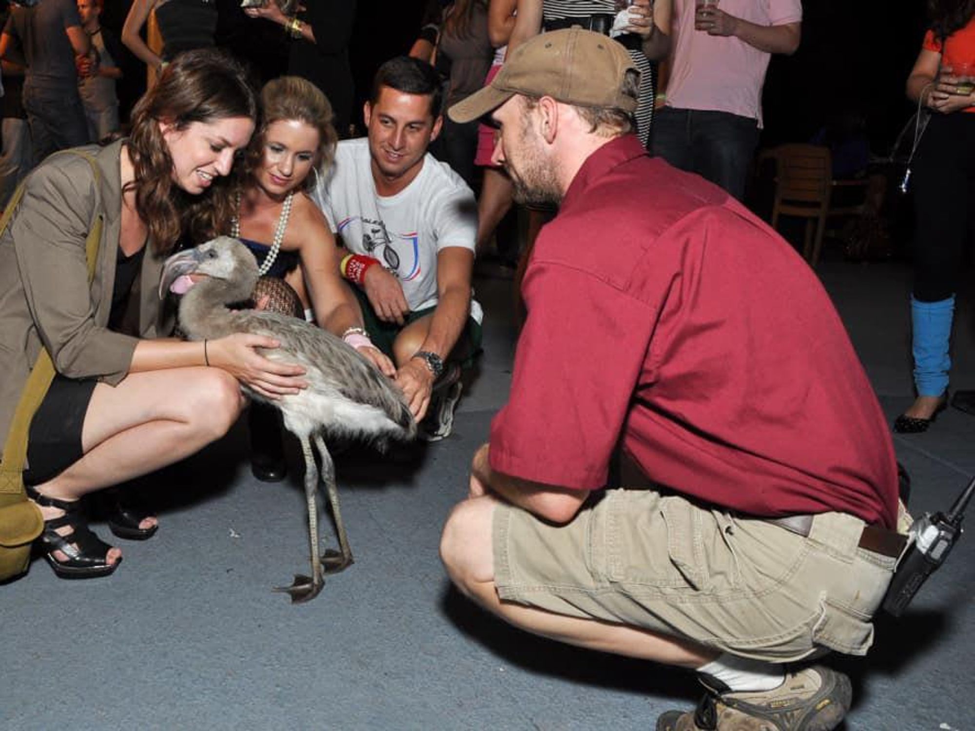 News_Flock of Seagulls_Tamar Mendelssohn_Kelly Guthrie_Gray Thornton_Jeremy Whitted