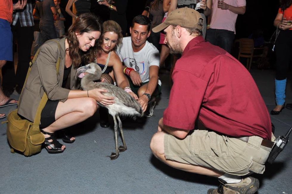 News_Flock of Seagulls_Tamar Mendelssohn_Kelly Guthrie_Gray Thornton_Jeremy Whitted