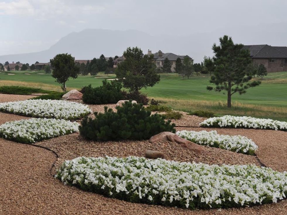 News_Fourticq_home_landscape