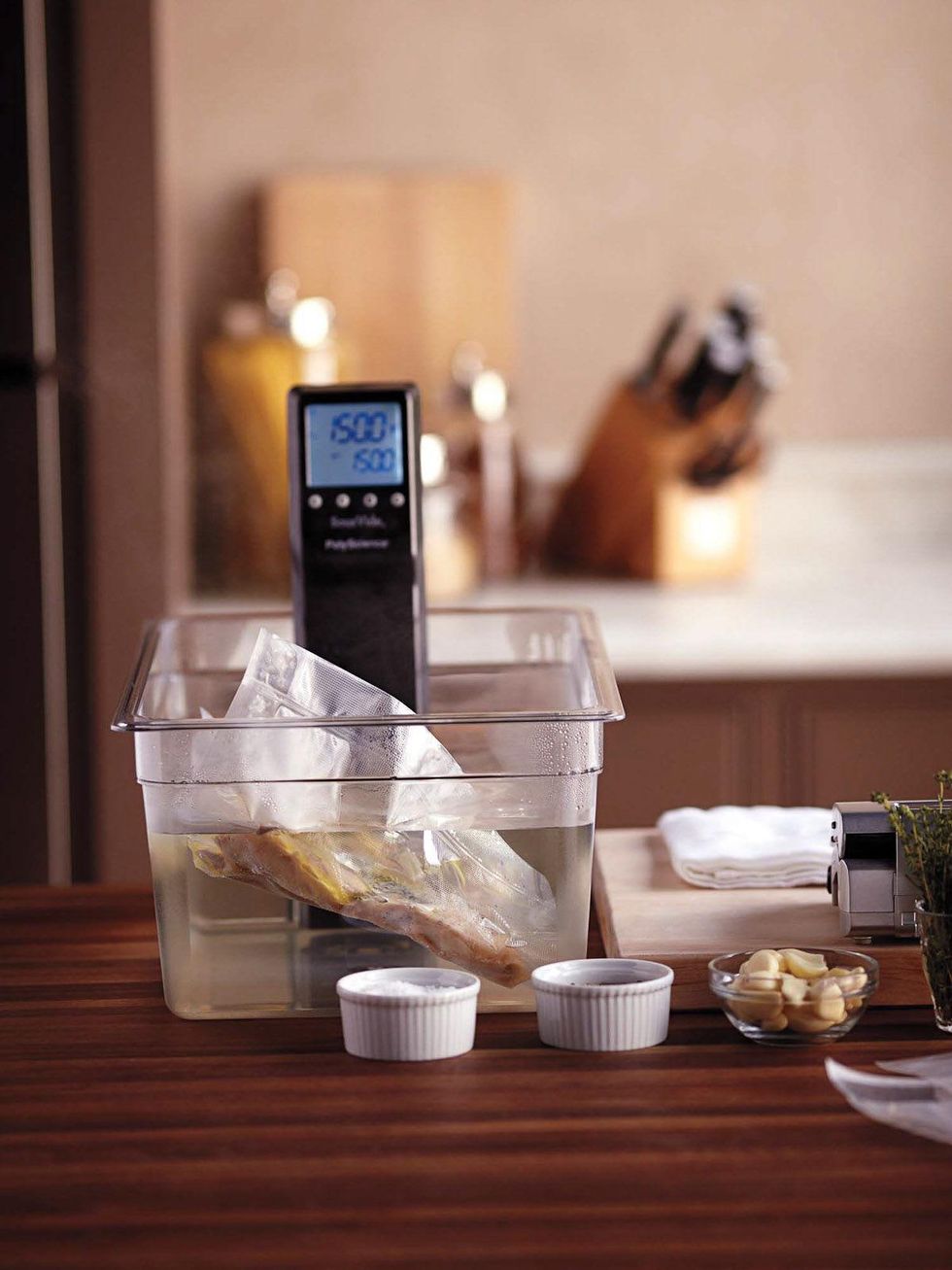 News_Gift Guide 2010_foodie_Williams-Sonoma_Polyscience Sous Vide