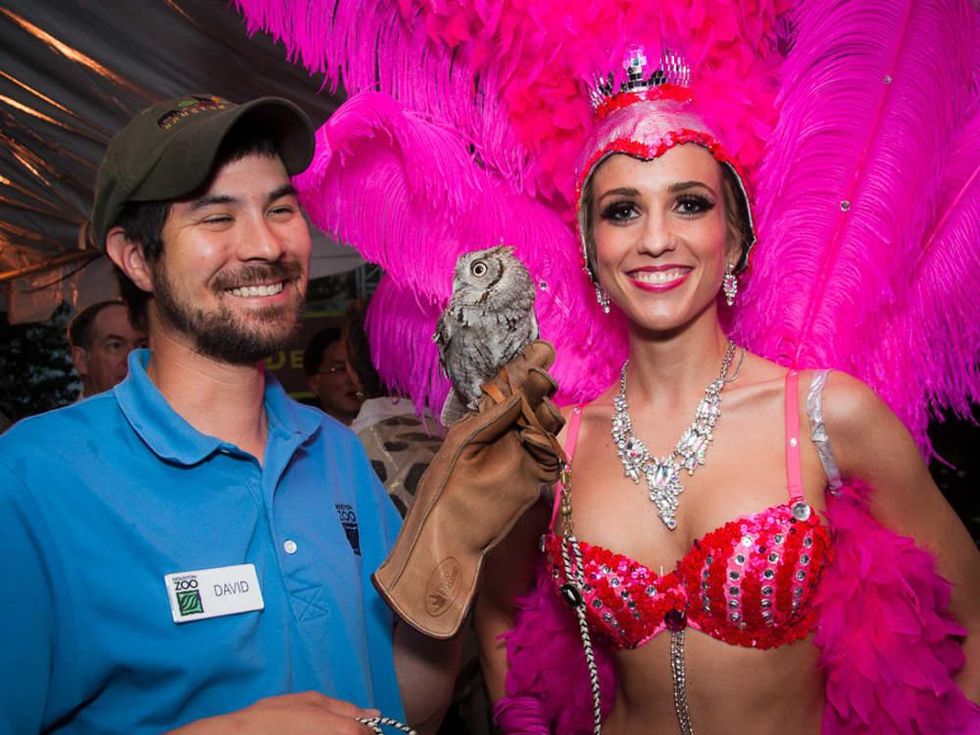 News_Houston Zoo Ball_April 2012_Screech Owl_Showgirl