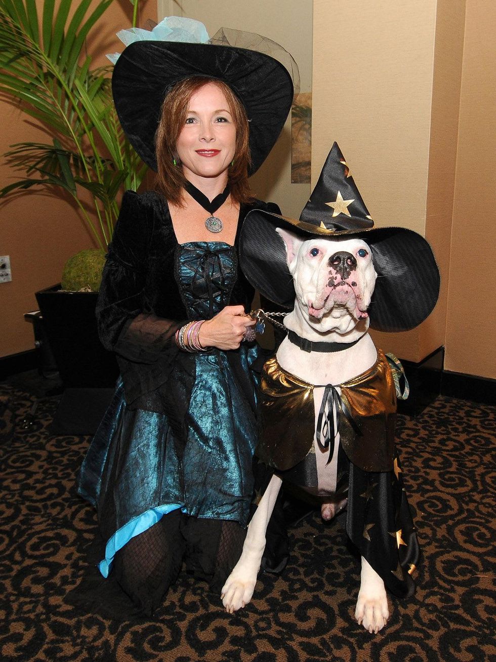 News_Howl-O-Ween_dog_wizard