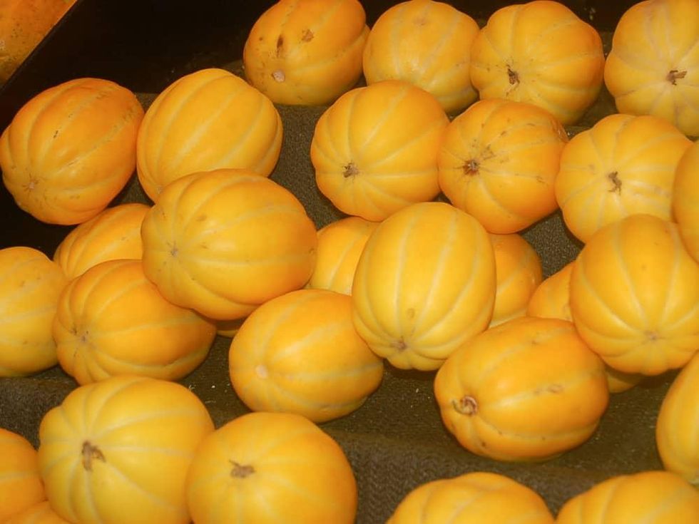 News_Joel Luks_vegging out_99 Ranch Market_Korean Melon