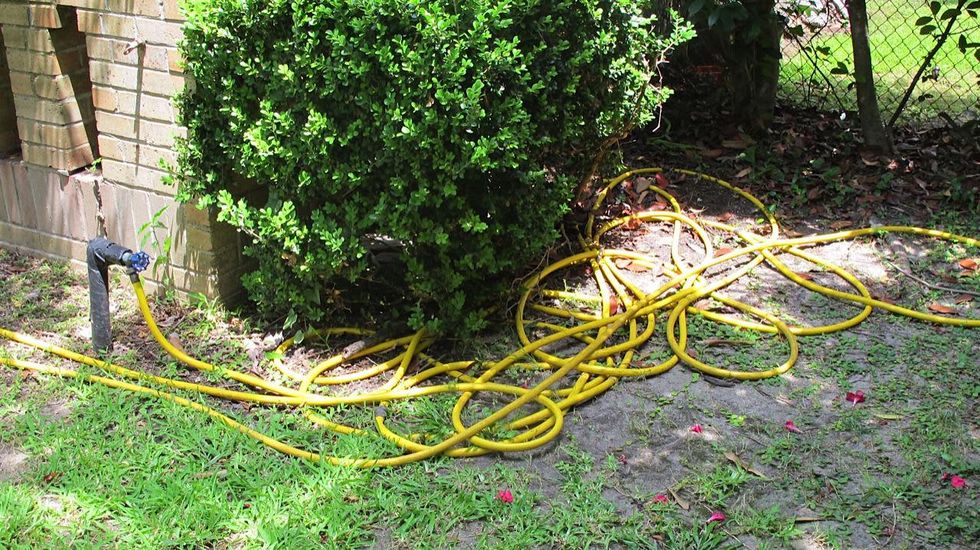 News_Katie_a water hose rogue_May 2012_3 _yellow water hose waggery.jpg