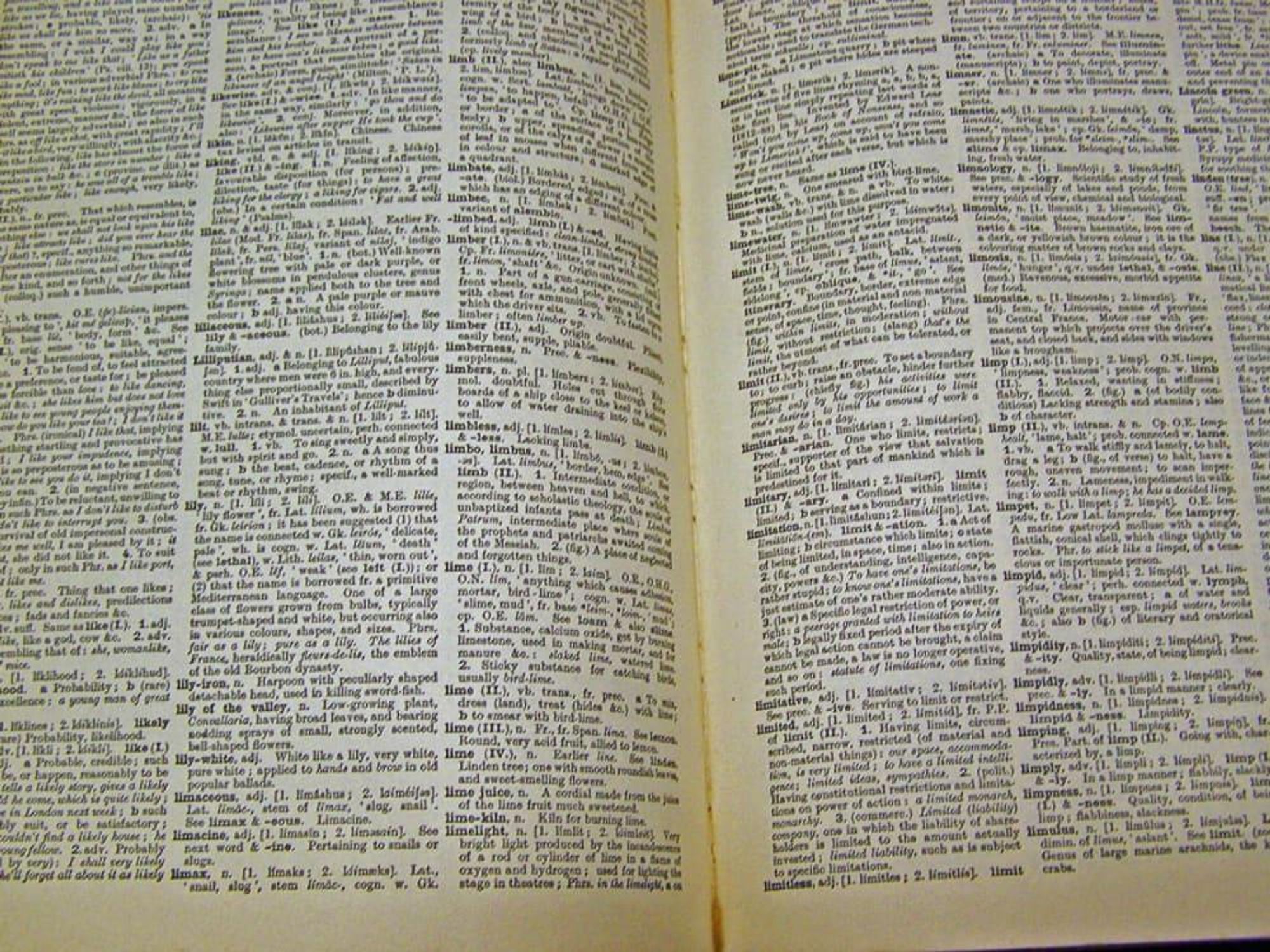 News_Katie_writing_Dictionary