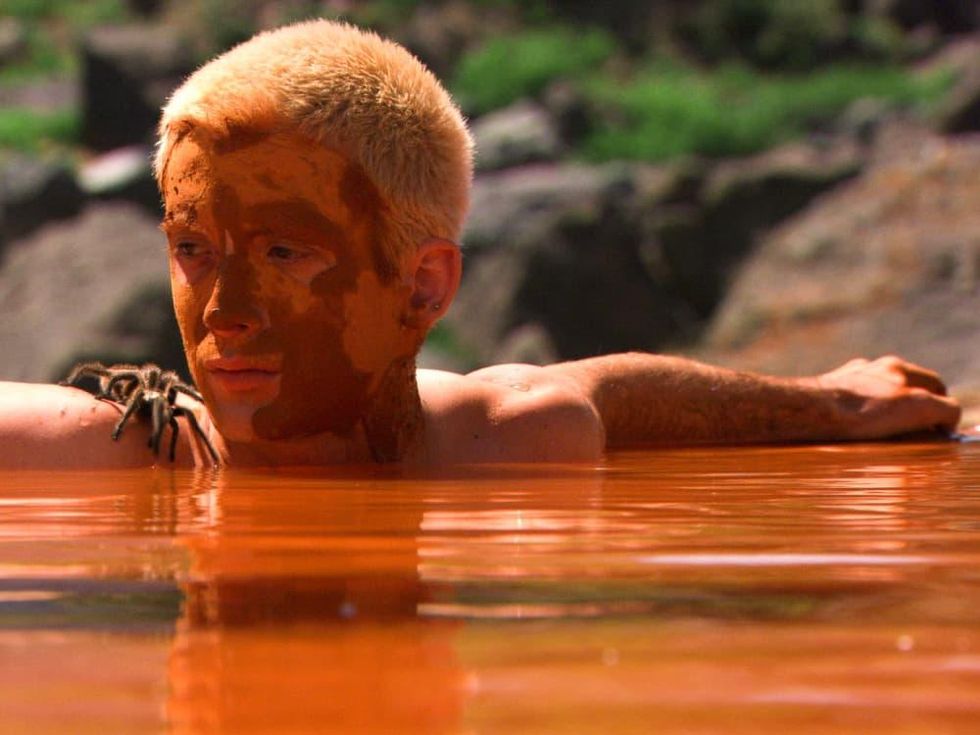 News_Latin Wave_Turista