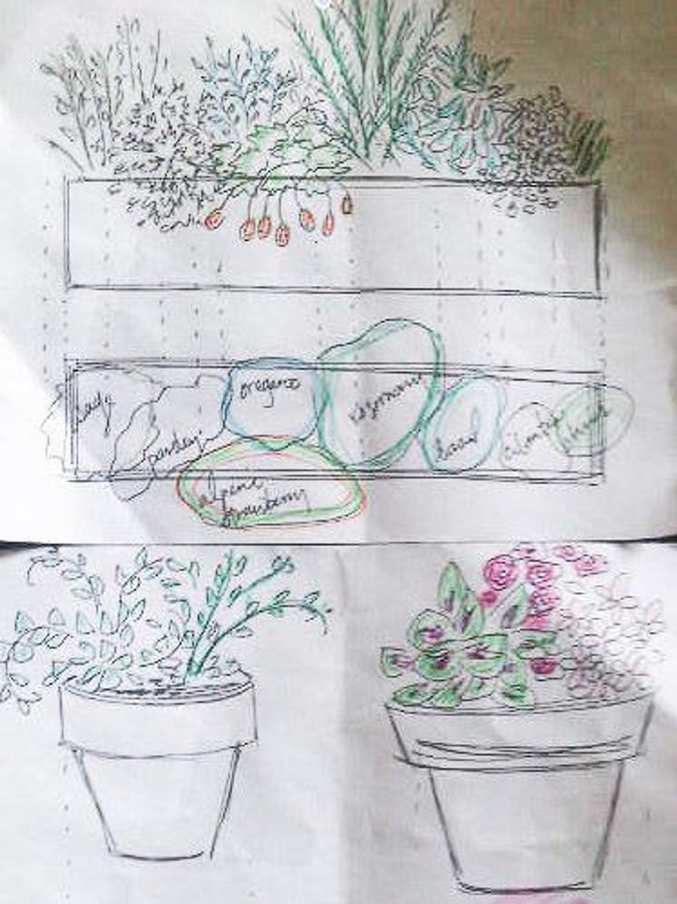 News_Mari_herb garden_garden sketch