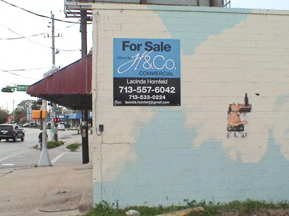 News_Mary's, Naturally_mural_cat