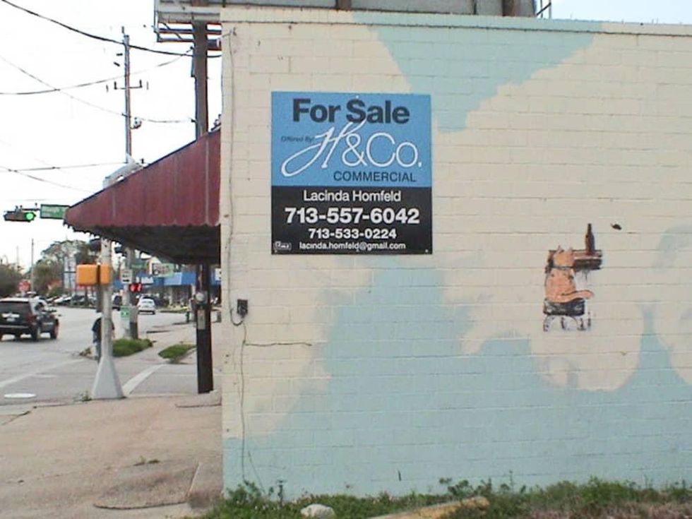 News_Mary's, Naturally_mural_cat