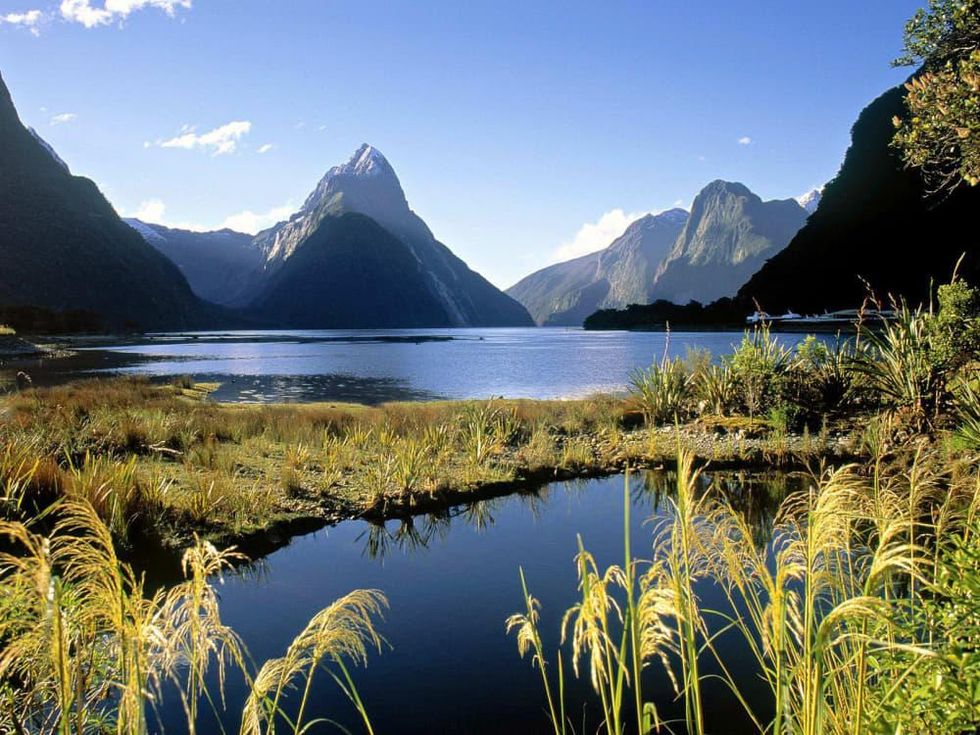 News_New Zealand_Milford Sound_Fjordland