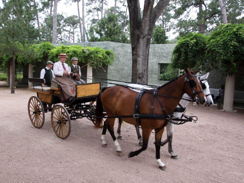 News_Park party_Stewart Morris_horses_carriage