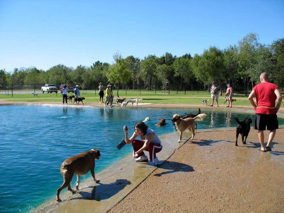 News_Peter Barnes_Top 10 Outdoor Improvements_Congressman Bill Archer Dog Park_Houston Dog Park Association