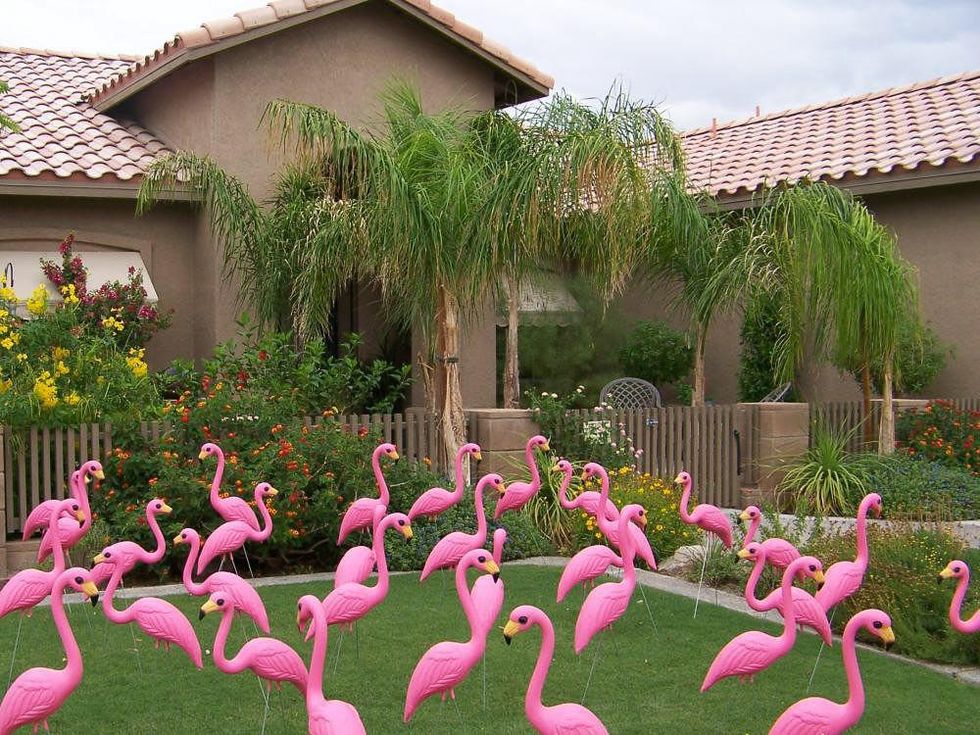 News_Pink Flamingos_yard