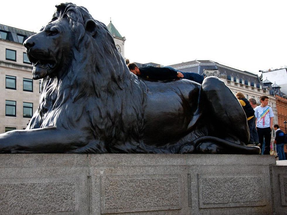 News_planking_lion plank