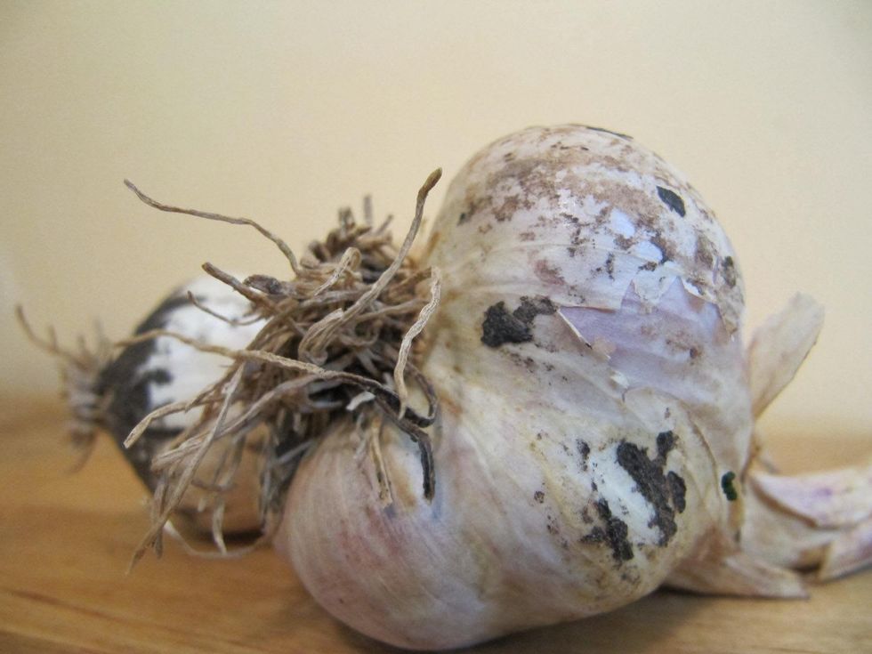 News_Sarah Beth Seifer_eating locally_garlic