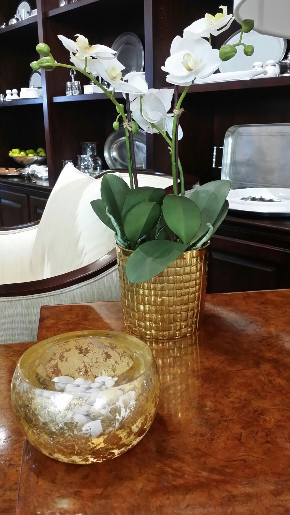 News, Shelby, Aerin Lauder, December 2014