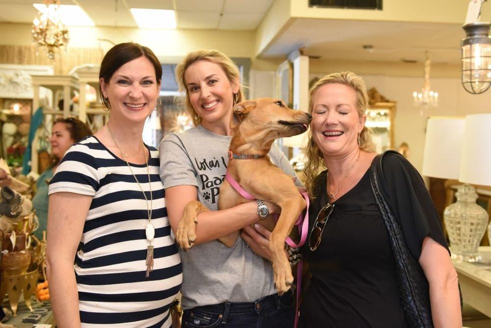 News, Shelby, Barks & Bubbles, Memorial Antiques, July 2015, Rachel Nolan, Jenny Thompson, Courtney Duperie, Sandy