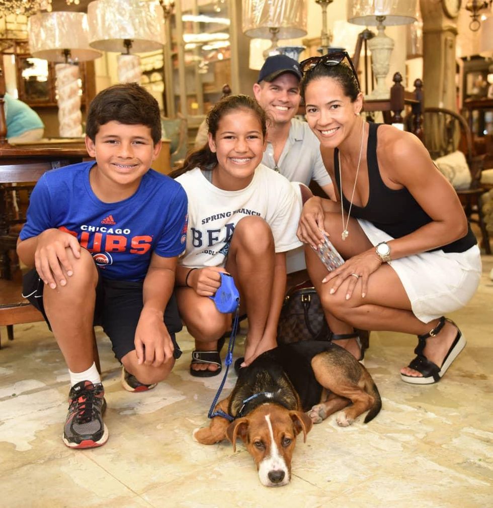 News, Shelby, Barks & Bubbles, Memorial Antiques, July 2015, Romero Family and pooch Harper