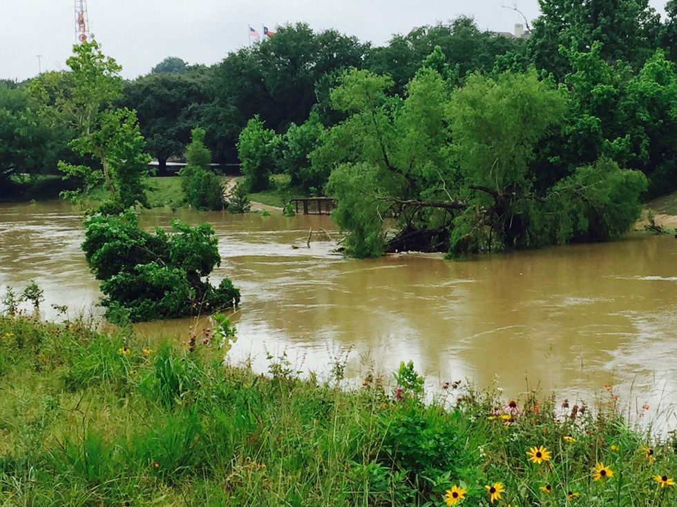 News, Shelby, Buffalo Bayou Park, May 2015