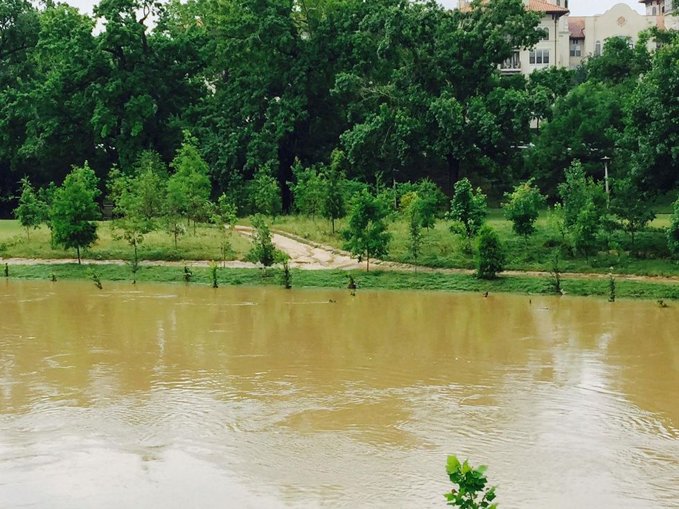 News, Shelby, Buffalo Bayou Park, May 2015