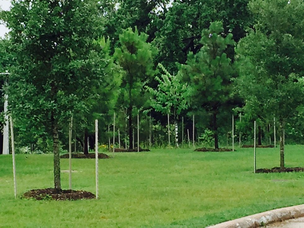 News, Shelby, Buffalo Bayou Park, May 2015