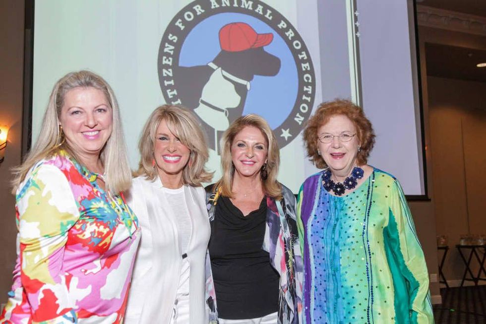 News, Shelby, Citizens for Animal Protection Paint Jam, June 2015, Gaylon Gullquist, Janice Hall, Francie Willis, Kappy Muenzer