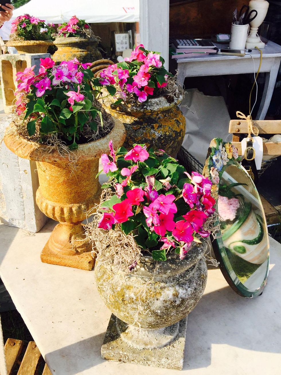 News, Shelby, DASH market, May 2015