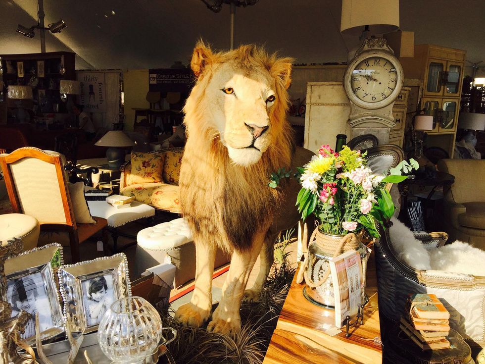 News, Shelby, DASH market, May 2015