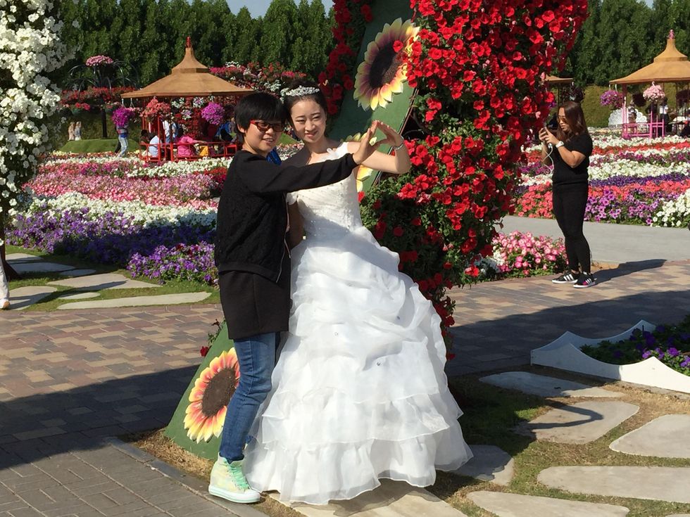 News, Shelby, Dubai Miracle Garden, January 2015