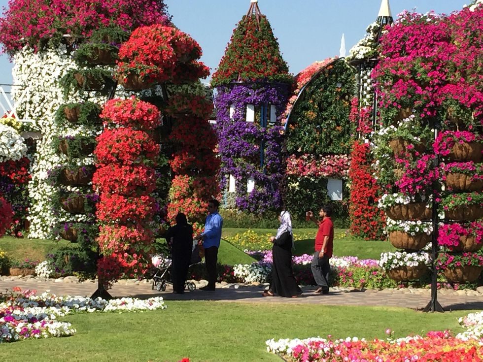 News, Shelby, Dubai Miracle Garden, January 2015