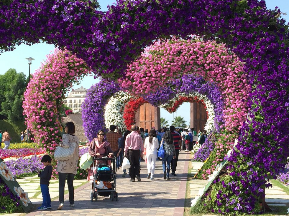 News, Shelby, Dubai Miracle Garden, January 2015