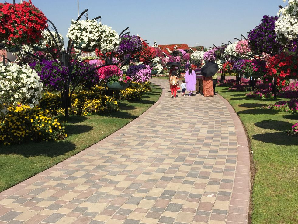 News, Shelby, Dubai Miracle Garden, January 2015