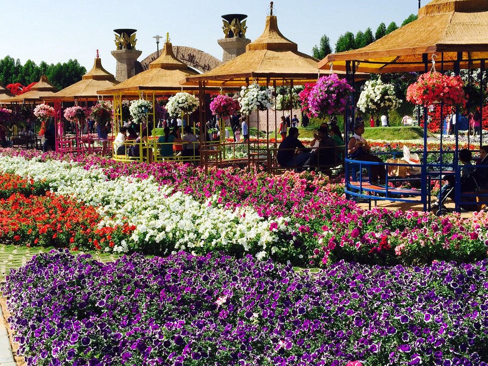 News, Shelby, Dubai, Miracle Garden, January 2015