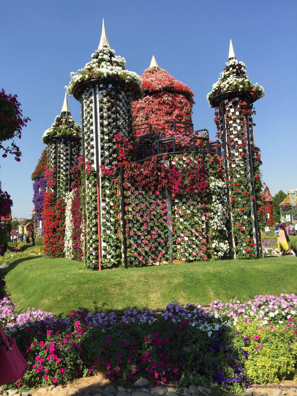 News, Shelby, Dubai Miracle Garden, January 2015